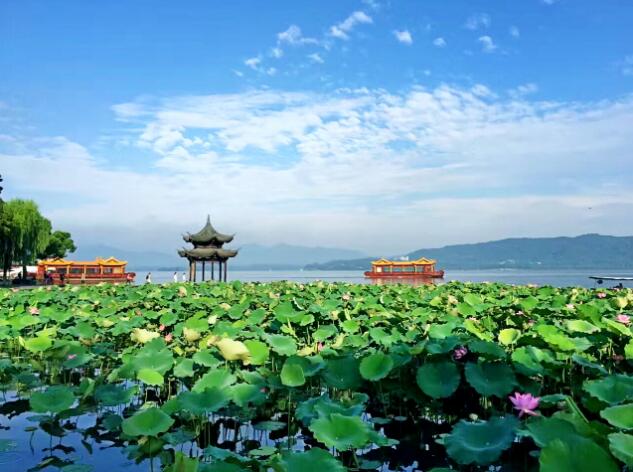 杭州推进生态、生产、生活融合 铺展“湿地水城·大美杭州”新画卷