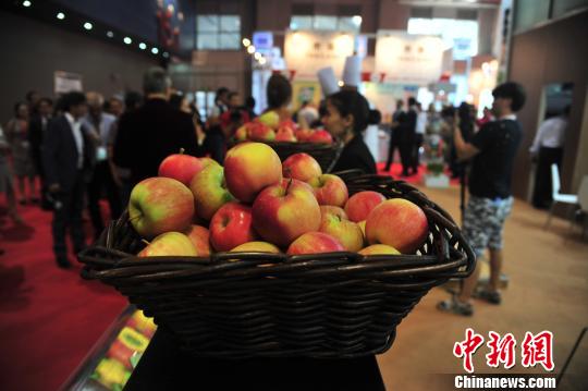 波兰苹果首次亮相广东