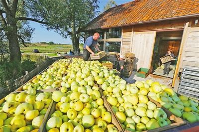 波兰推动农业由“大”转“强”