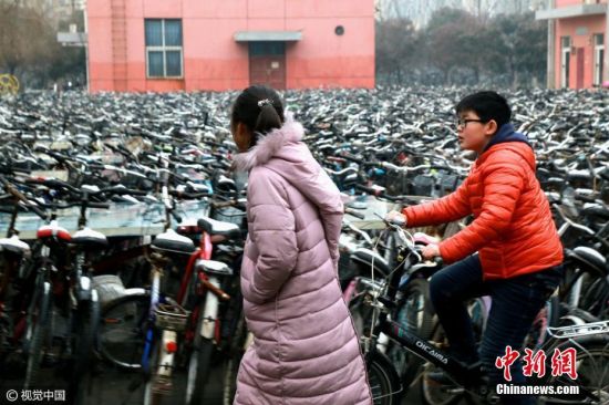 2017年02月08日，郑州，自行车对于大学生们来说，已经是在校生活学习不可或缺的代步工具，但每年各个学校内都会出现大批“僵尸车”。在郑州大学校园内，两千辆自行车被学校有关部门收集在一起，场面壮观，有网友戏称是“钢铁坟墓”。图片来源：视觉中国